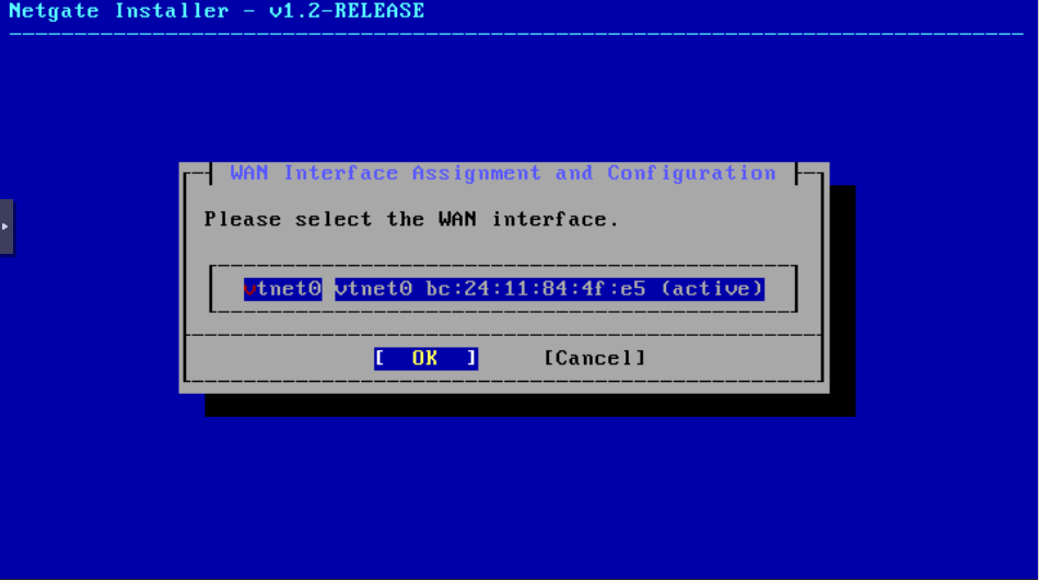 WAN Interface Assignment and Configuration